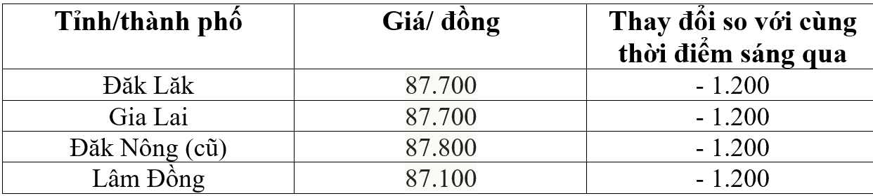 Giá cà phê hôm nay 16/5/2026: Giá cà phê trong nước và thế giới giảm mạnh