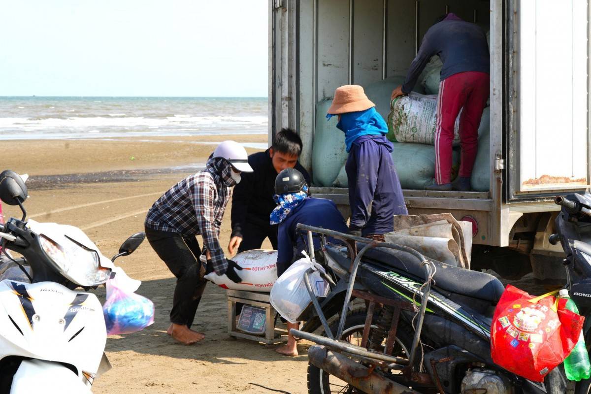 Mưu sinh nghề cào giắt ở biển Sầm Sơn (Thanh Hoá)