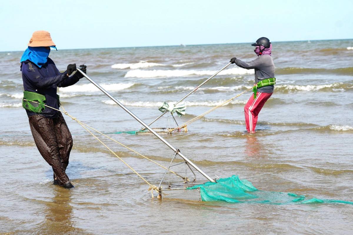 Mưu sinh nghề cào giắt ở biển Sầm Sơn (Thanh Hoá)