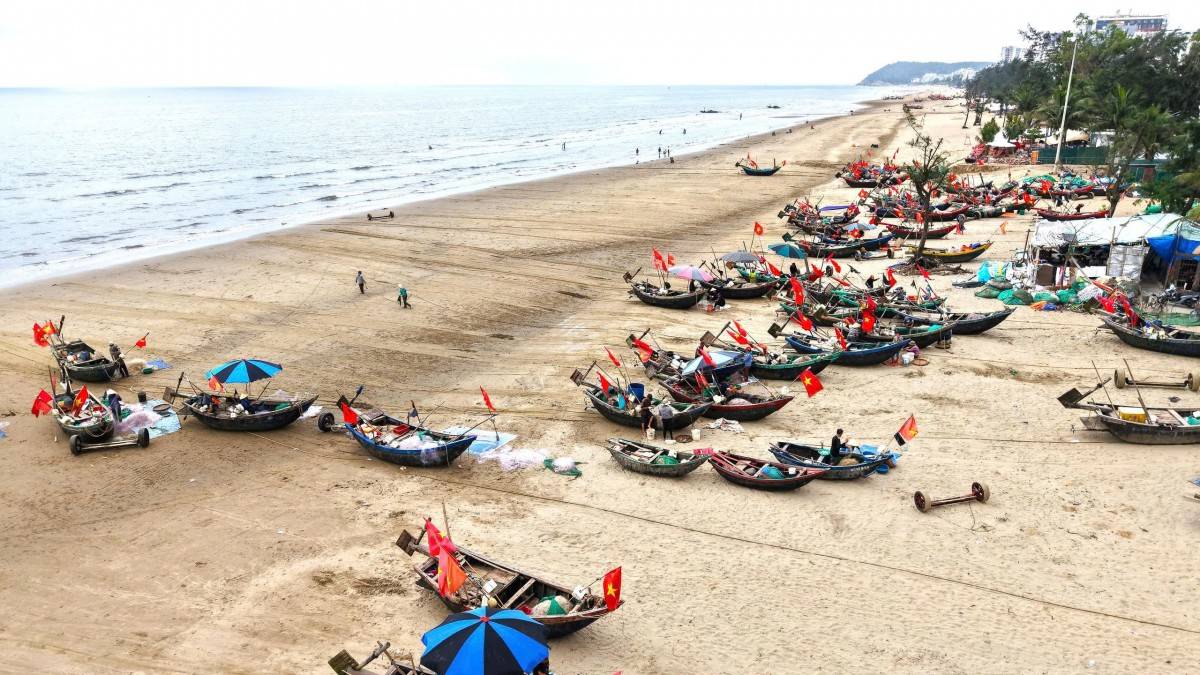 Mưu sinh nghề cào giắt ở biển Sầm Sơn (Thanh Hoá)