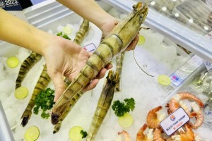 Mỹ đề xuất nâng hàng rào kiểm soát đối với tôm nhập khẩu