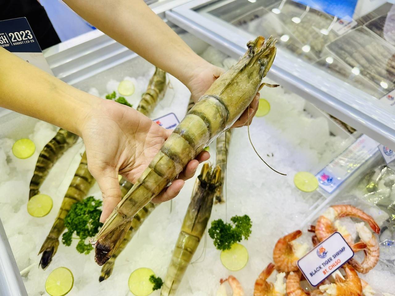 Mỹ đề xuất nâng hàng rào kiểm soát đối với tôm nhập khẩu