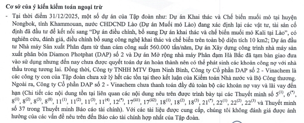 Nhiều công ty con của Vinachem lỗ lũy kế kéo dài, âm vốn lưu động và bị Kiểm toán nghi ngờ khả năng hoạt động liên tục