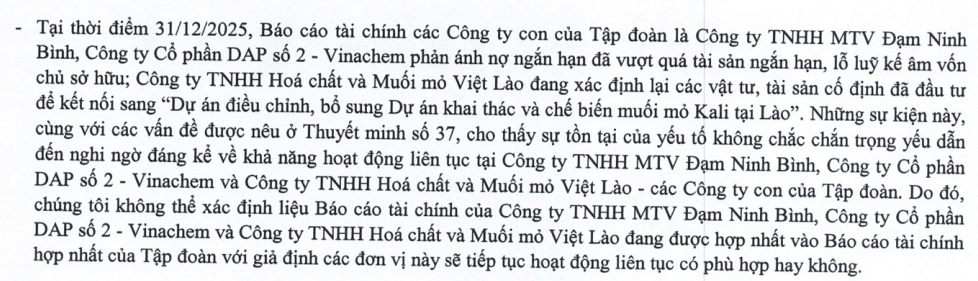 Nhiều công ty con của Vinachem lỗ lũy kế kéo dài, âm vốn lưu động và bị Kiểm toán nghi ngờ khả năng hoạt động liên tục