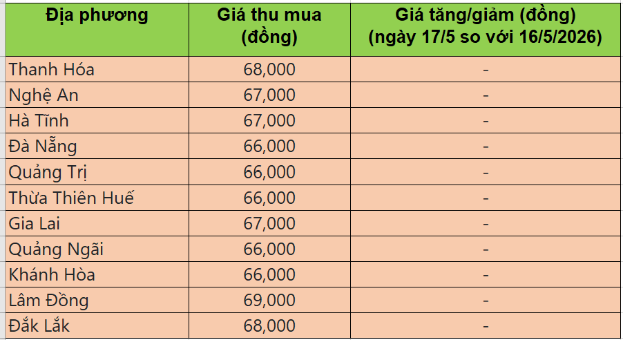 Bảng giá heo hơi tại miền Trung - Tây Nguyên hôm nay 17/5/2026