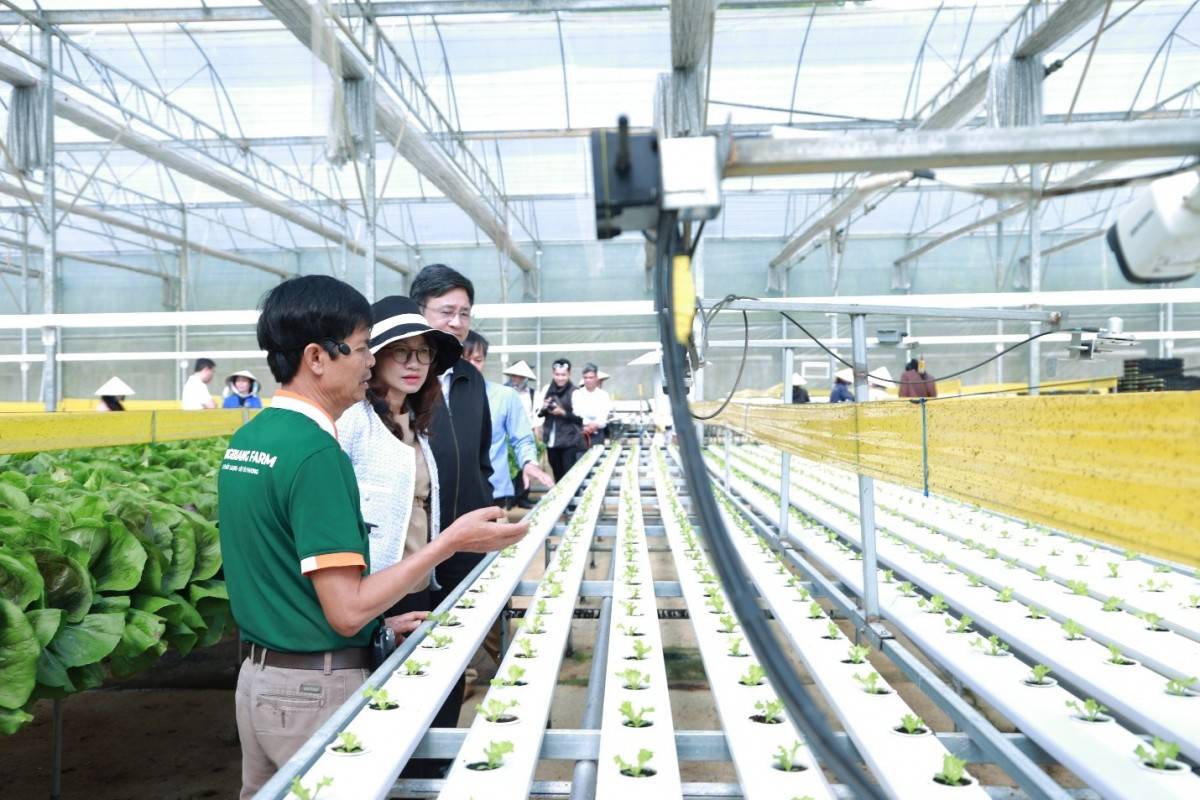 Công nghệ lõi, AI và dữ liệu lớn: Ba trụ cột hợp tác mới giữa Lâm Đồng và ĐHQG-HCM