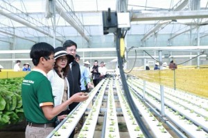 Công nghệ lõi, AI và dữ liệu lớn: Ba trụ cột hợp tác mới giữa Lâm Đồng và ĐHQG-HCM