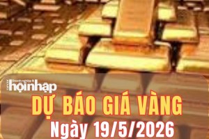 Dự báo giá vàng 20/5/2026: Giá vàng nhiều khả năng đi ngang hoặc giảm nhẹ