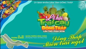 Đồng Tháp tổ chức Lễ hội Trái cây lần thứ I năm 2026