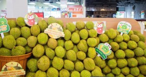 Xuất khẩu sầu riêng tăng hơn 200%, doanh nghiệp mừng và lo
