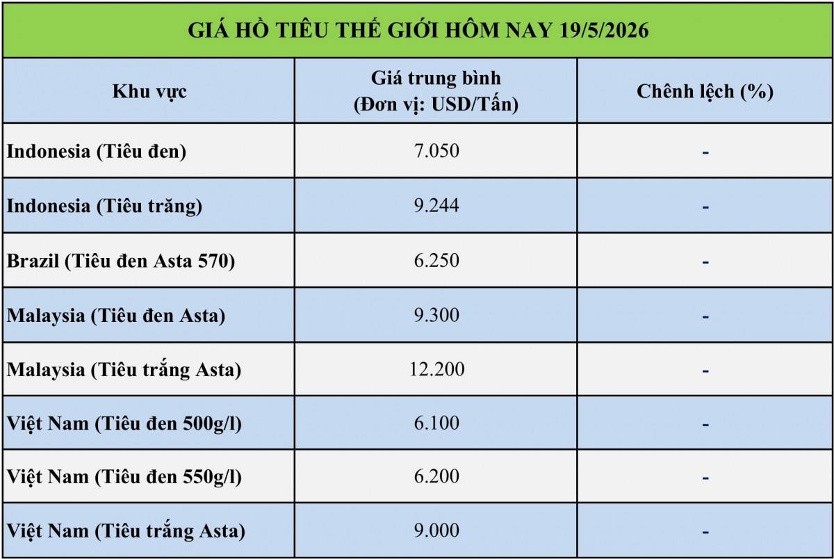 Giá tiêu hôm nay 19/5/2026: