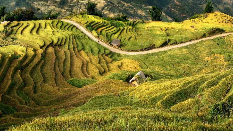 Lào Cai: Mùa vàng rẻo cao và chiến lược phát triển du lịch bền vững