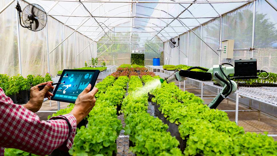 Lào Cai đặt người dân và doanh nghiệp vào trung tâm của chuyển đổi số và phát triển xanh