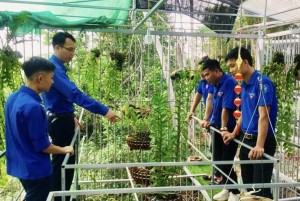 Hà Tĩnh đầu tư hơn 22 tỷ đồng hỗ trợ công nghiệp nông thôn chuyển đổi số