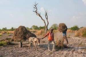 ILO cảnh báo: Xung đột Trung Đông có thể khiến hàng chục triệu lao động mất việc