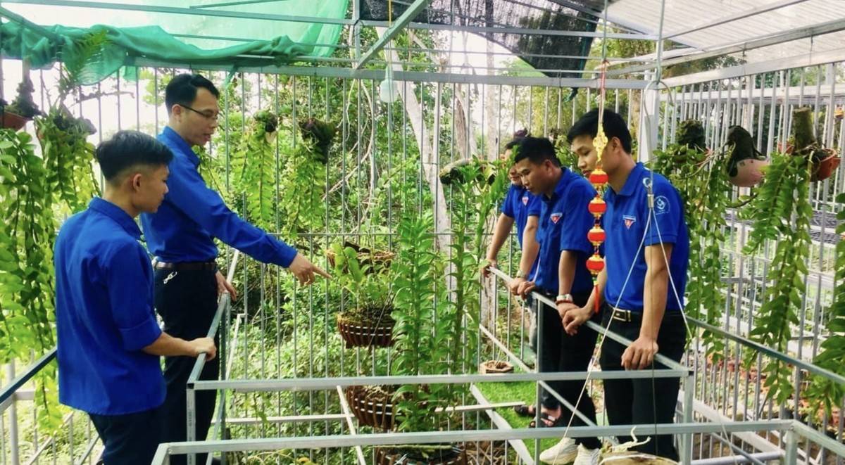 Hà Tĩnh đầu tư hơn 22 tỷ đồng hỗ trợ công nghiệp nông thôn chuyển đổi số