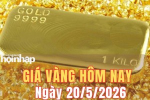 Giá vàng hôm nay 20/5/2026: Giá vàng trong nước giảm