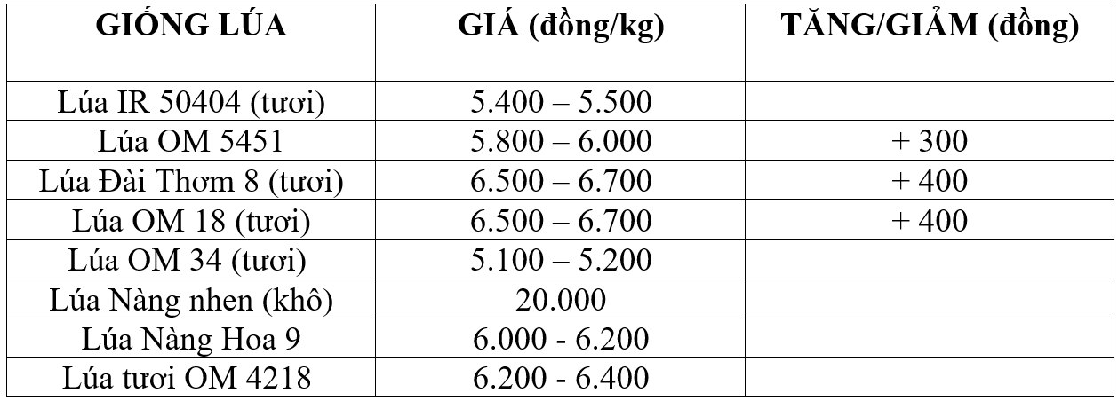 Bảng giá lúa hôm nay 20/5/2026