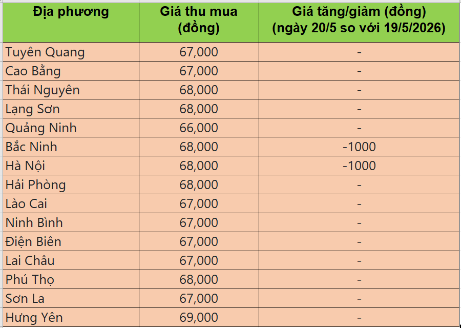 Bảng giá heo hơi tại miền Bắc hôm nay 20/5/2026