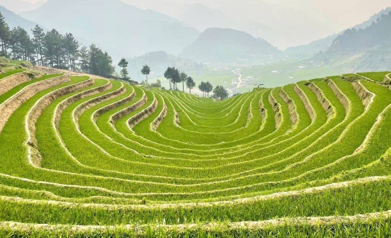 Tà Ghênh – “tọa độ mùa hè” mới giữa đại ngàn xã Hạnh Phúc, Lào Cai