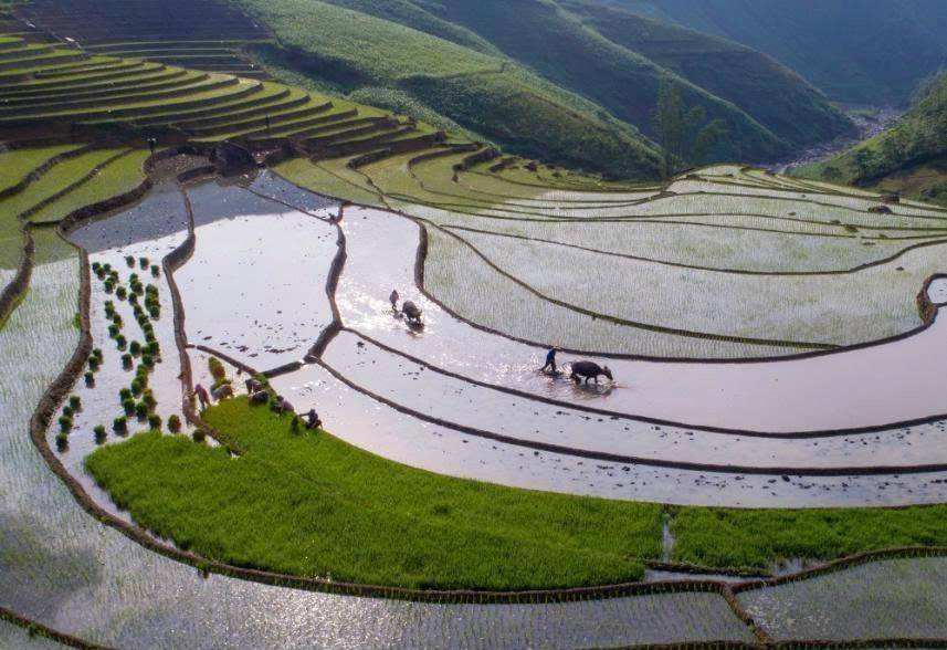 Dền Sáng mùa nước đổ – Vẻ đẹp lay động giữa đại ngàn Lào Cai