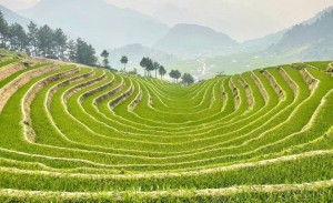 Tà Ghênh – “tọa độ mùa hè” mới giữa đại ngàn xã Hạnh Phúc, Lào Cai