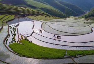 Dền Sáng mùa nước đổ – Vẻ đẹp lay động giữa đại ngàn Lào Cai