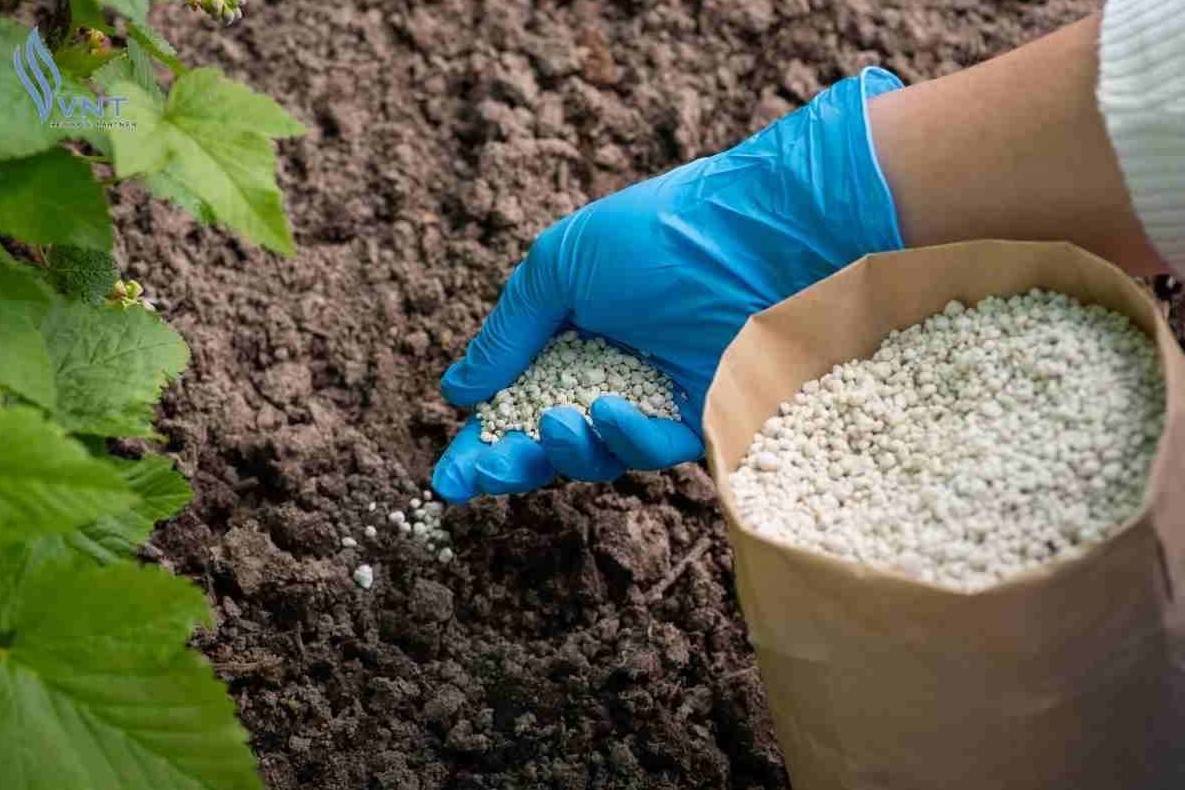 EU tính lập kho dự trữ phân bón giữa lo ngại khủng hoảng lương thực
