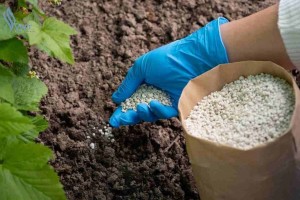 EU tính lập kho dự trữ phân bón giữa lo ngại khủng hoảng lương thực