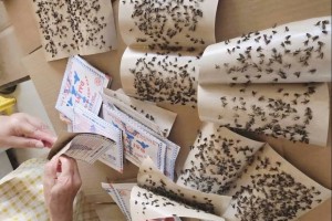Người dân bức xúc vì doanh nghiệp sản xuất phân bón hữu cơ gây ô nhiễm môi trường