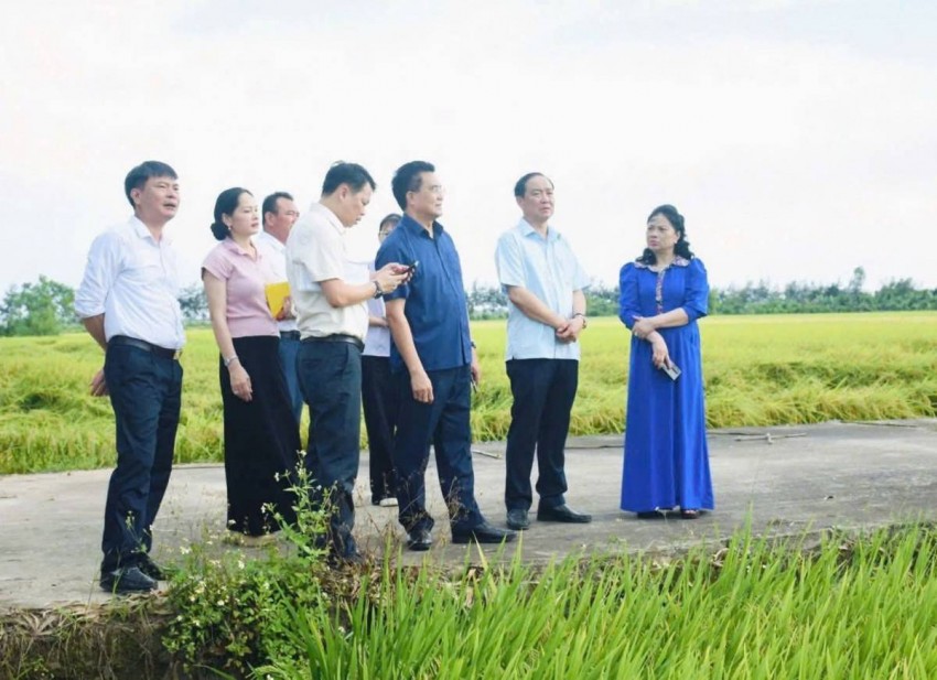 Đại diện Công ty Cổ phần Đầu tư xuất nhập khẩu Thăng Long đơn vị chủ đầu tư dự án 