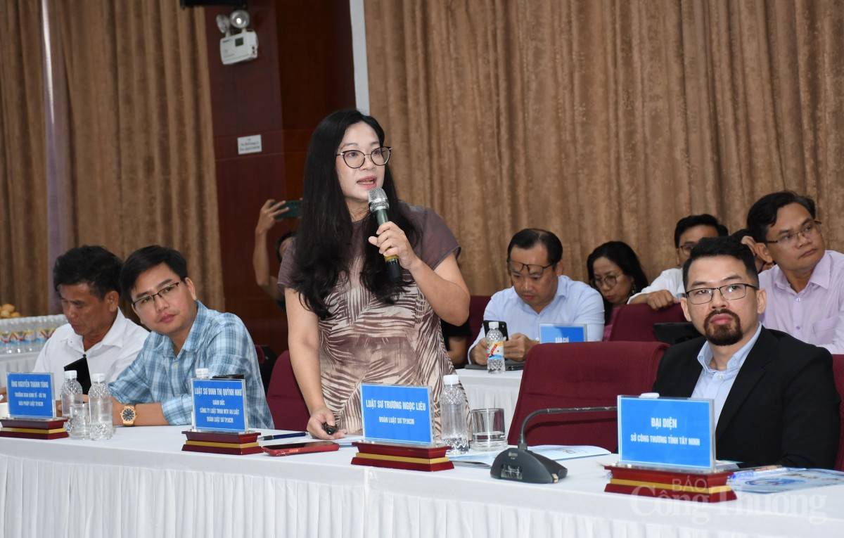 Luật sư Đinh Thị Quỳnh Như - thẳng thắn nêu quan điểm tại tọa đàm