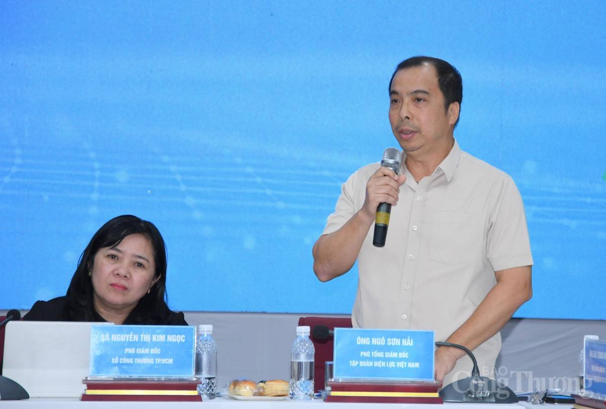 Ông Ngô Sơn Hải - Phó Tổng giám đốc Tập đoàn Điện lực Việt Nam tại tọa đàm