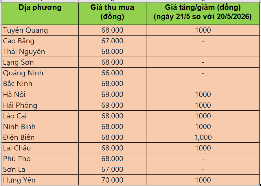 giá heo hơi