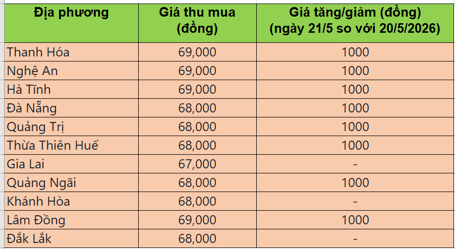 giá heo hơi