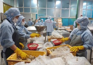 Thanh Hóa: Ban hành kế hoạch hỗ trợ chuyển đổi số cho doanh nghiệp nhỏ và vừa