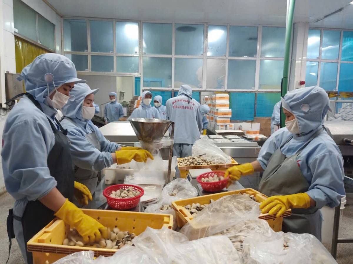 Thanh Hóa: Ban hành kế hoạch hỗ trợ chuyển đổi số cho doanh nghiệp nhỏ và vừa