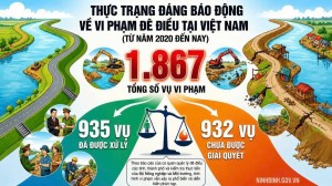 Ninh Bình: Ngăn chặn, xử lý vi phạm pháp luật về đê điều, đảm bảo an toàn đê điều, thoát lũ