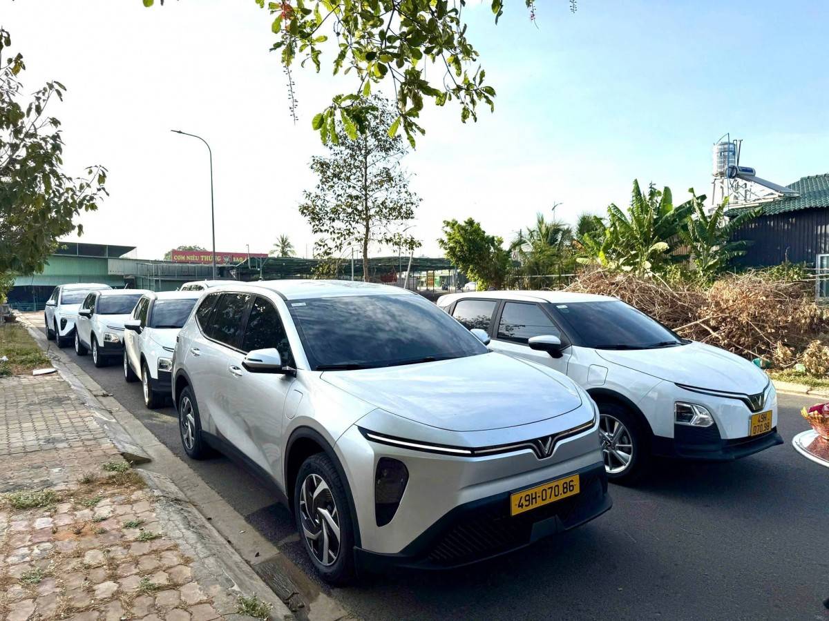 Lâm Đồng thu hồi 18 phù hiệu xe kinh doanh vận tải
