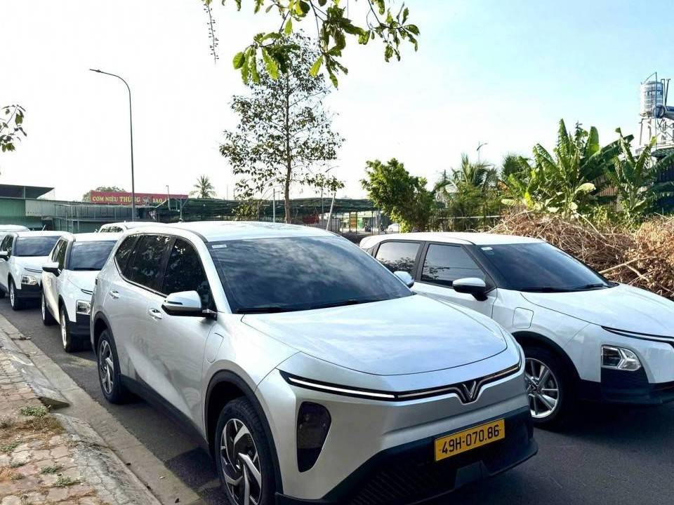 Lâm Đồng thu hồi 18 phù hiệu xe kinh doanh vận tải