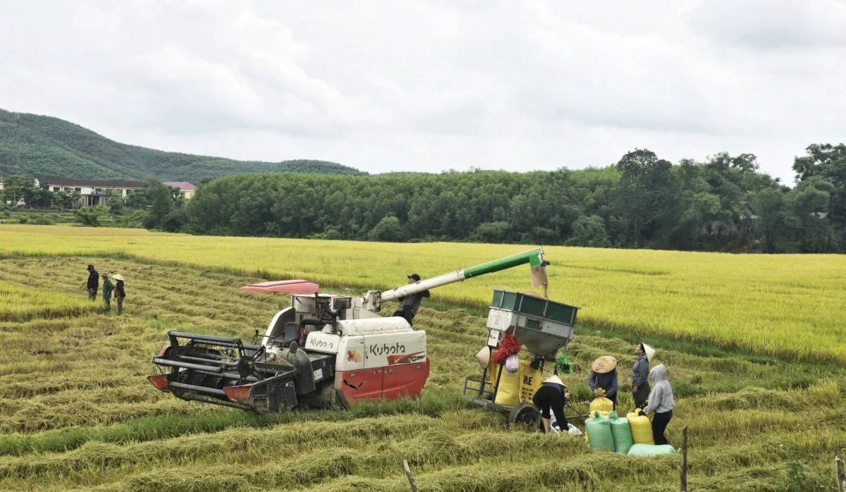 Xã Bố Trạch - Quảng Trị: Hồ chứa nước Lục Cục xuống cấp