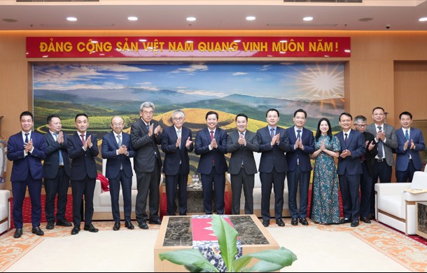 Lào Cai thúc đẩy tháo gỡ vướng mắc, mở rộng hợp tác năng lượng sinh khối với Erex Nhật Bản