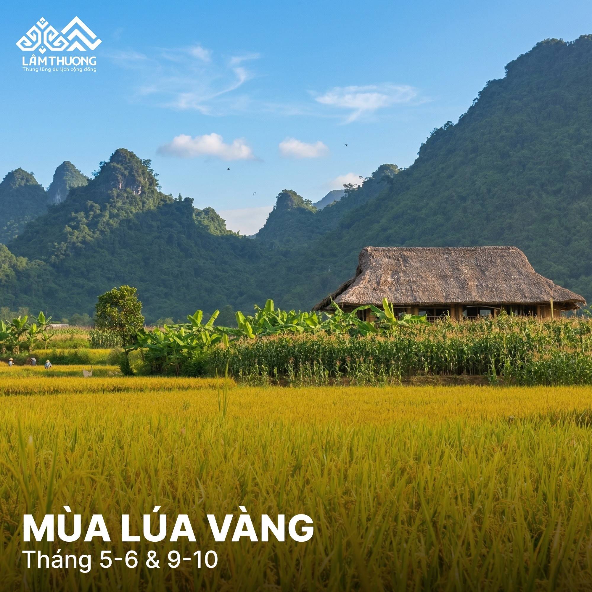 Lâm Thượng (Lào Cai): Thung lũng bốn mùa thay áo, nơi người lạ cũng trở thành người thân