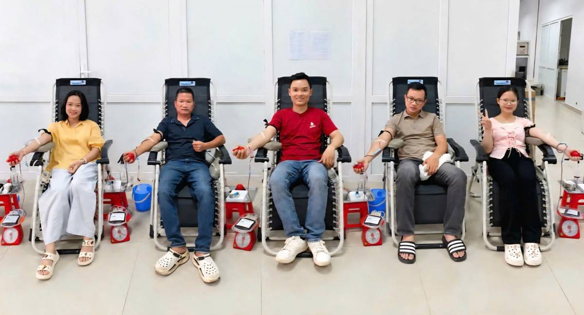 Sự sống được tiếp nối từ chính những giọt máu nghĩa tình