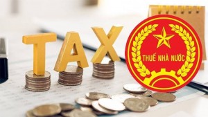 Gia Lai: Loạt doanh nghiệp địa ốc nợ thuế gần 388 tỷ đồng