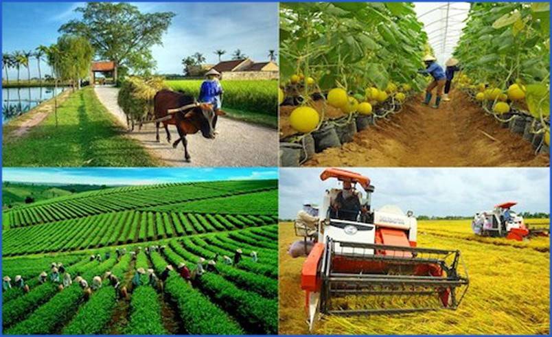 Khánh Hòa ban hành Bộ tiêu chí nông thôn mới