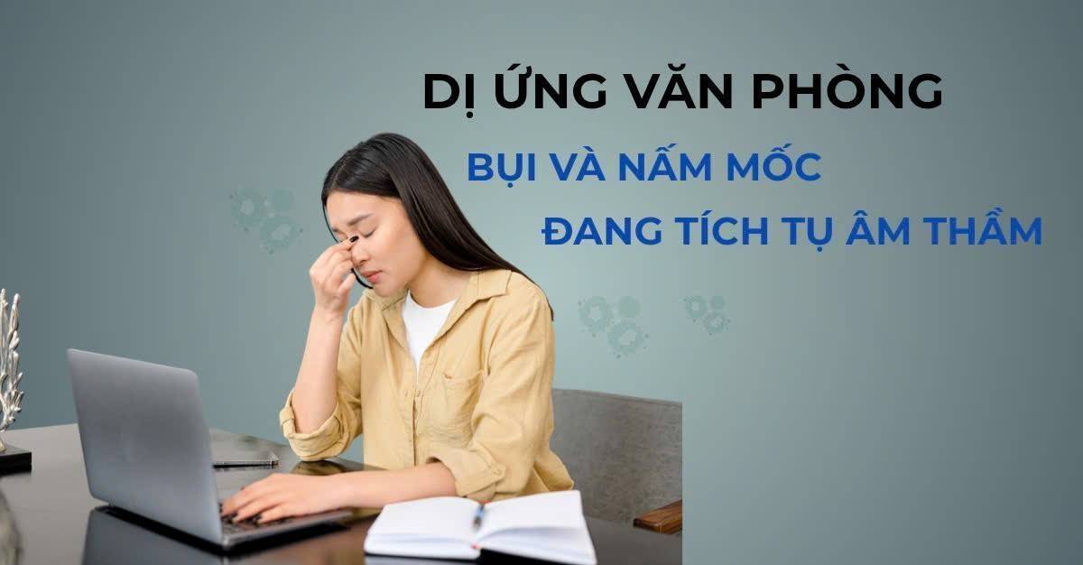Dị ứng văn phòng: Cách giảm bụi, nấm mốc để không khí trong lành hơn