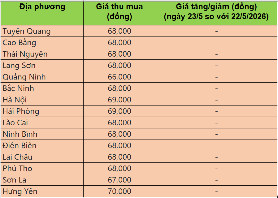 giá heo hơi