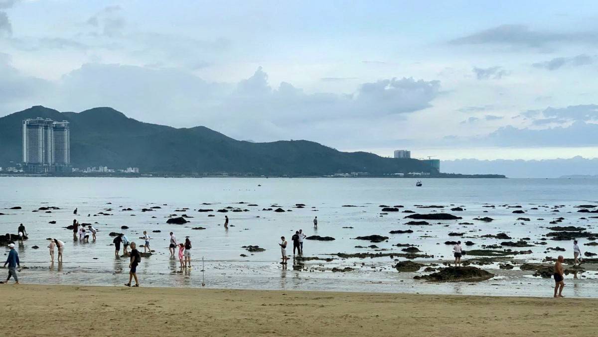 Khánh Hòa: Xử lý nghiêm hành vi xâm hại nghiêm trọng hệ sinh thái rạn san hô Vịnh Nha Trang