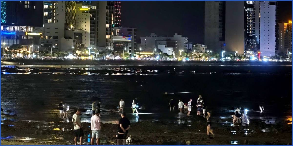 Khánh Hòa: Xử lý nghiêm hành vi xâm hại nghiêm trọng hệ sinh thái rạn san hô Vịnh Nha Trang